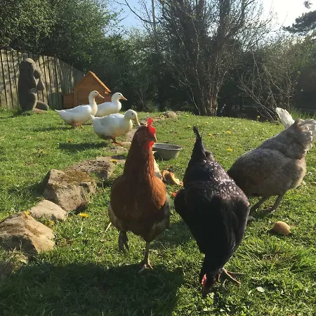 Hébergement de vacances Low Flask Farm Holiday Cottages